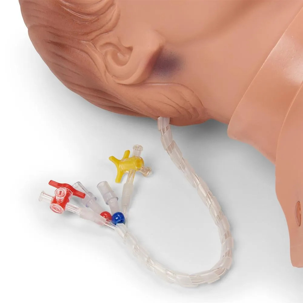 Critical Airway Management Trainer