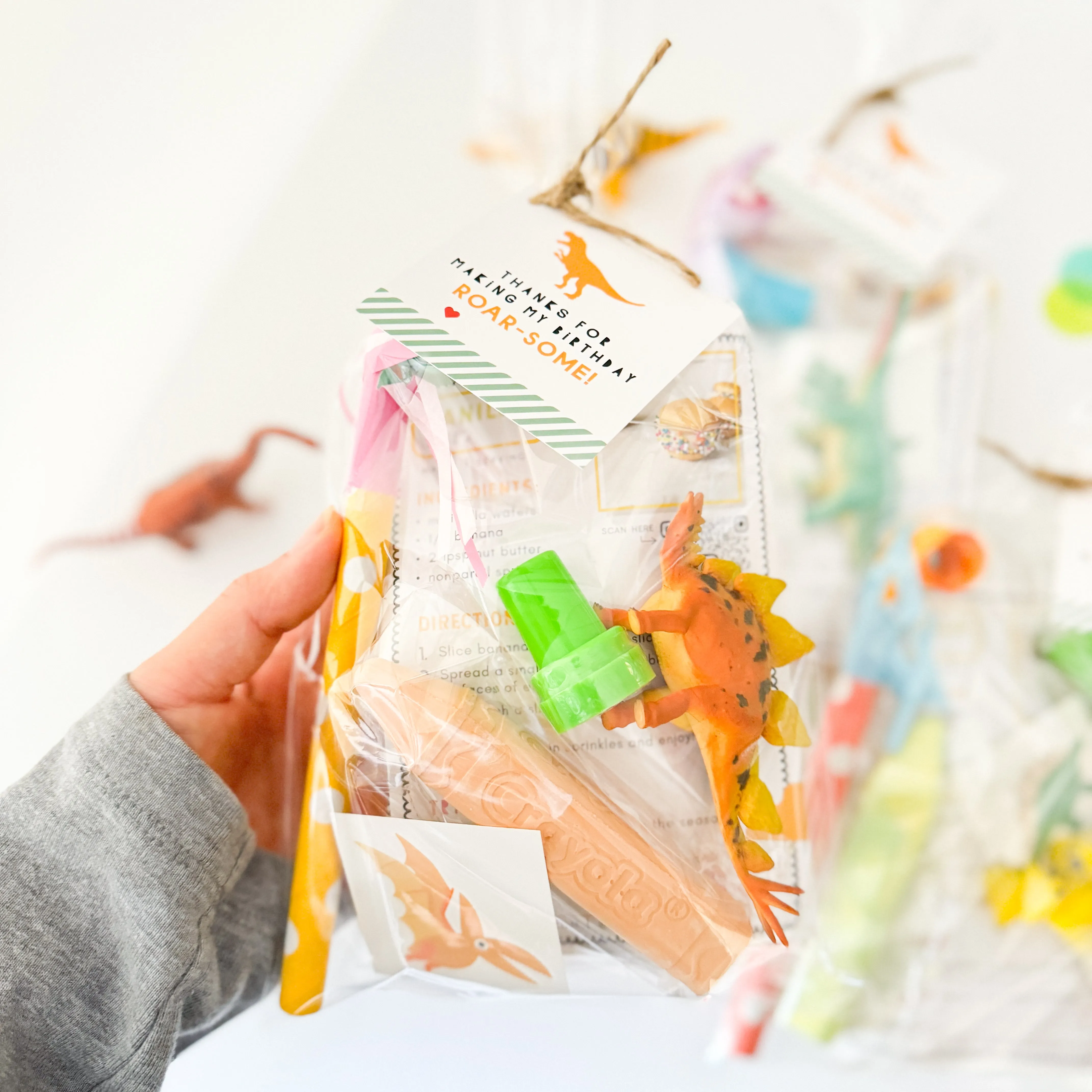 Dinosaur Junior Favor Bag