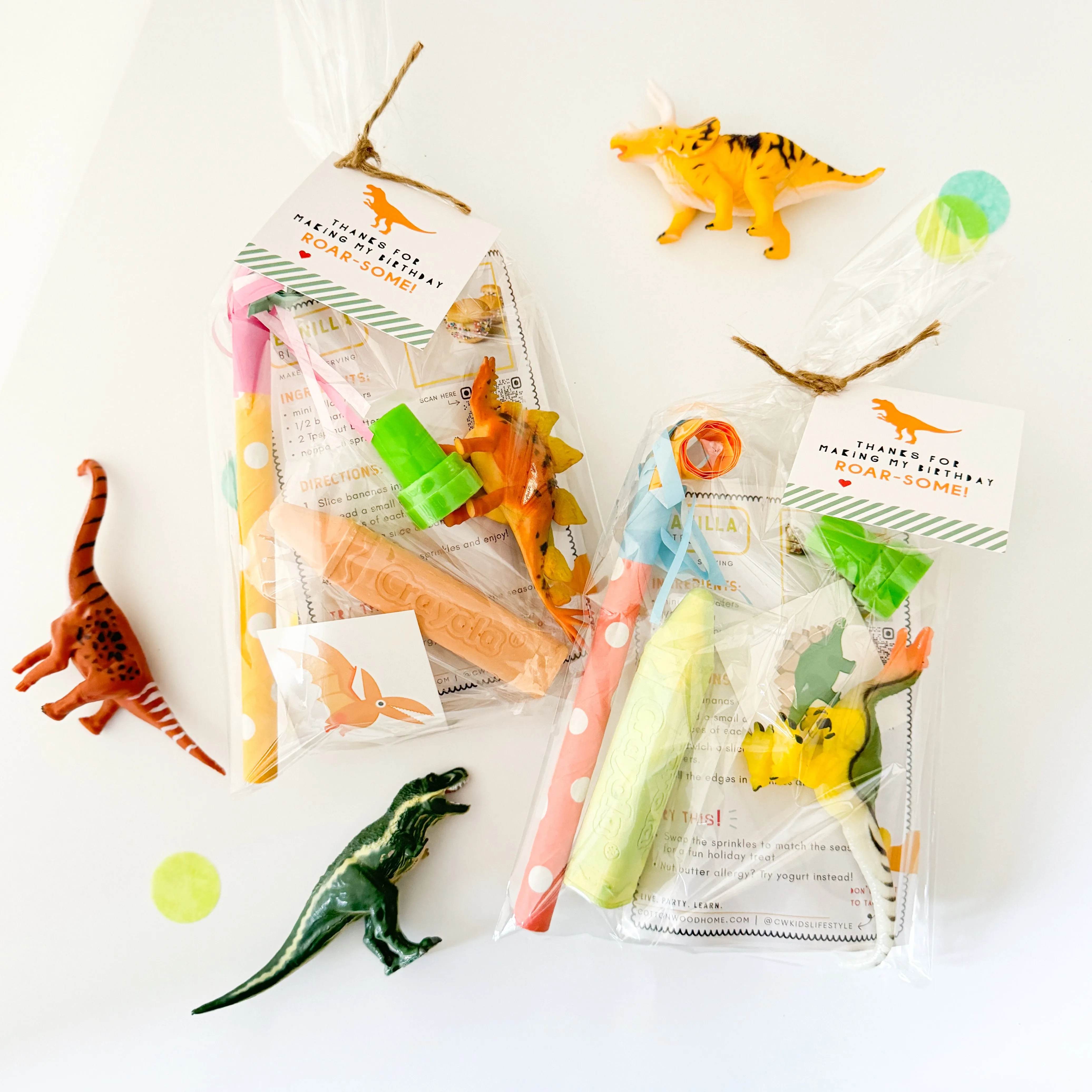 Dinosaur Junior Favor Bag