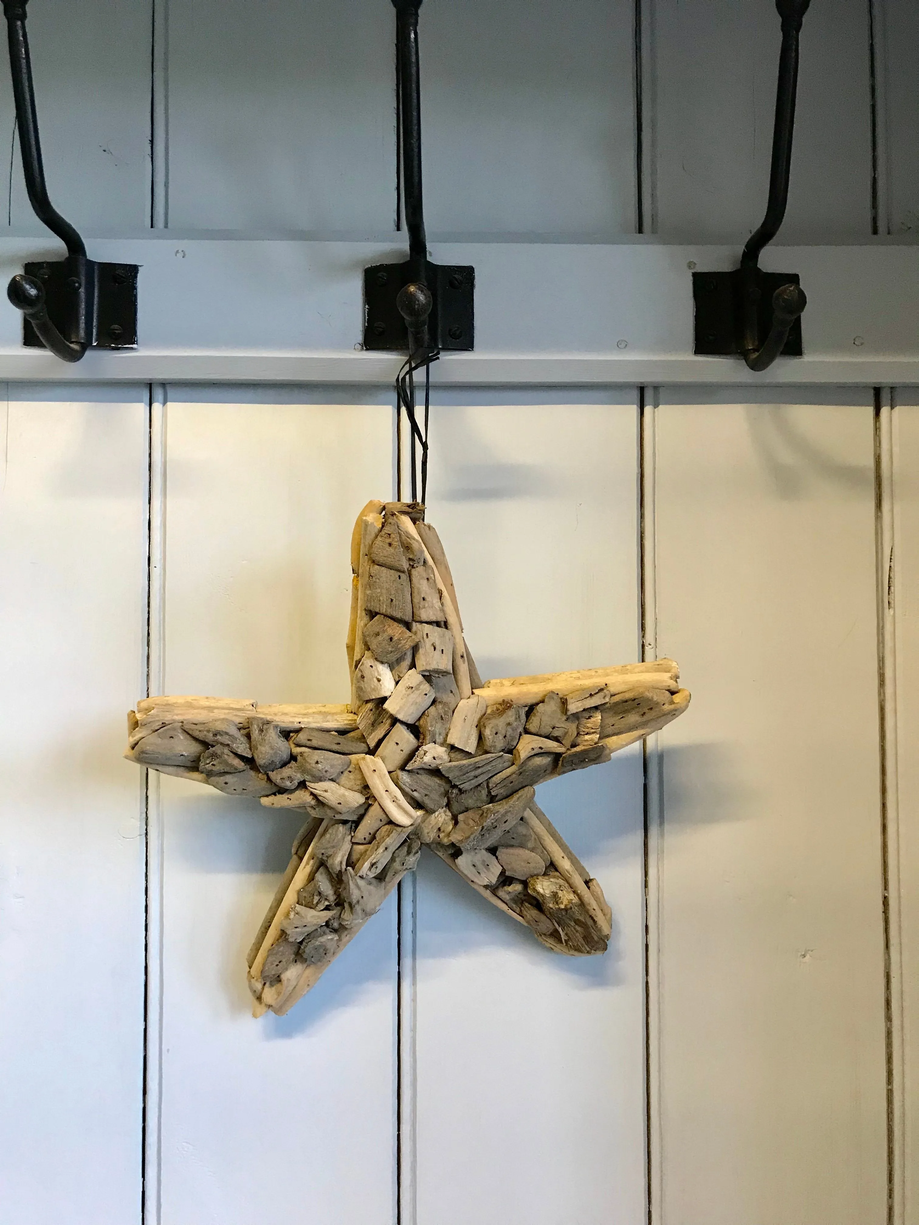 Driftwood Star Fish Medium