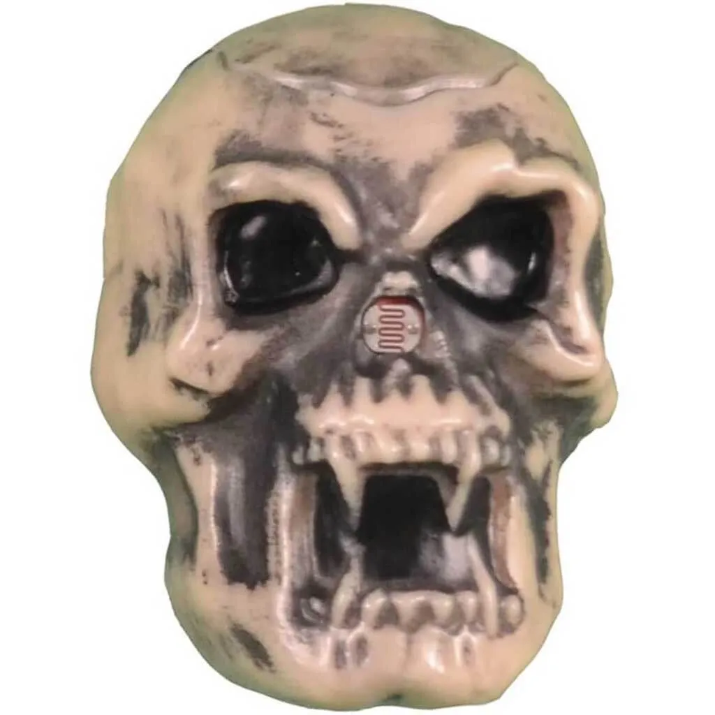 Hidden Screamers Skull