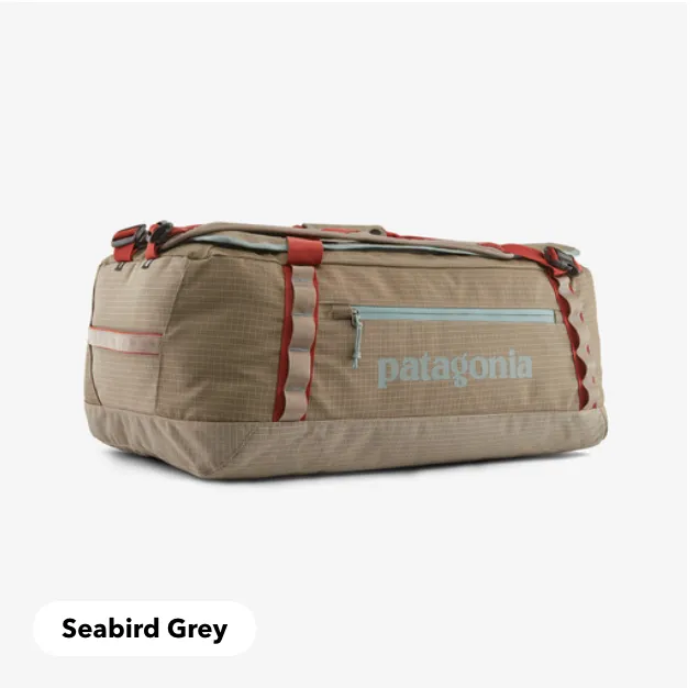 Patagonia Black Hole® Duffel 55L