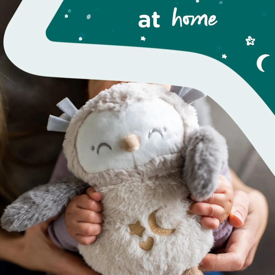 Tommee Tippee Ollie the Owl travel sleep aid